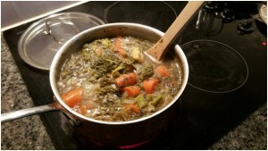 Jane's vegey love soup
