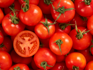 Eating tomatoes could help treat fertility problems in men, according to UK scientists.