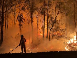 The fire emergency facing Queensland is still not over and won’t be for weeks, according to the Acting Fire Commissioner