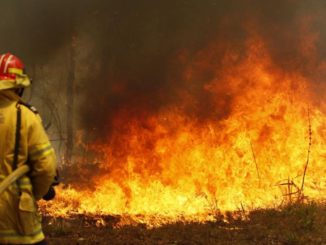 The NSW Premier has declared a seven-day state of emergency, predicting “the most dangerous bushfire week this nation has ever seen”