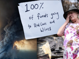 Charities slammed as bushfire victims await donated funds