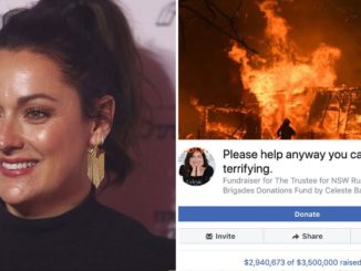 Australian comedian, Celeste Barber, has launched an online fundraiser that has raised more than $30 million for bushfire victims and firefighters.